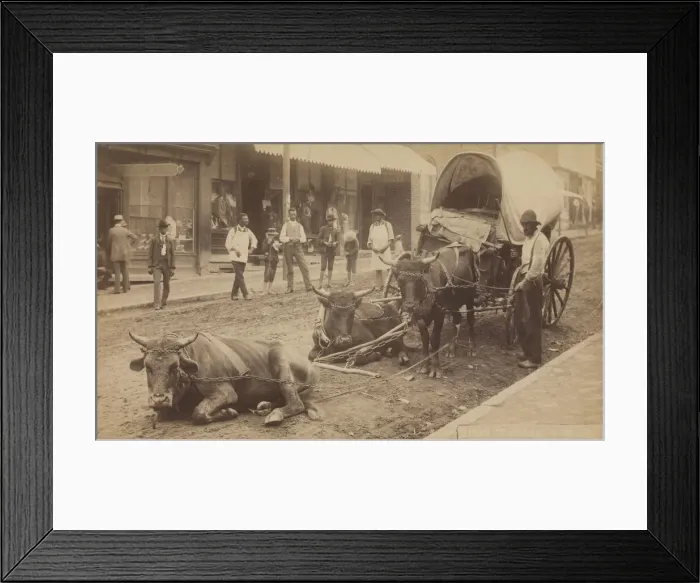 Framed Print : No. 2009, Taking a Rest, 1890-1895. Creator: Thomas H. Lindsey Framed Print : No. 2009, Taking a Rest, 1890-1895. Creator: Thomas H. Lindsey