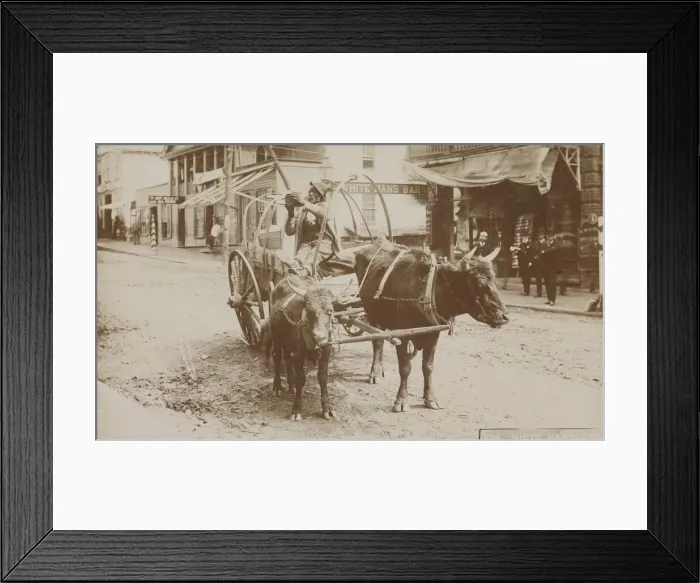 Framed Print : No. 1018, White Mans Bar, 1895-1910. Creator: Thomas H. Lindsey Framed Print : No. 1018, White Mans Bar, 1895-1910. Creator: Thomas H. Lindsey