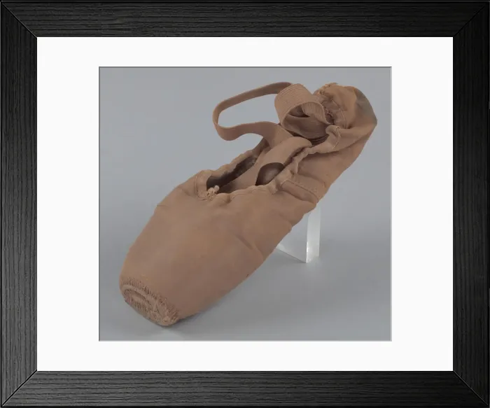Framed Print : Toe shoe and tights worn by Alexandra Jacob of Dance Theatre of Harlem, 2013-2014 Framed Print : Toe shoe and tights worn by Alexandra Jacob of Dance Theatre of Harlem, 2013-2014