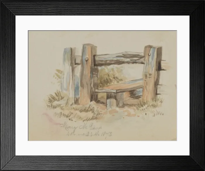 Framed Print : Untitled (Stile), 1873. Creator: Mary Vaux Walcott Framed Print : Untitled (Stile), 1873. Creator: Mary Vaux Walcott