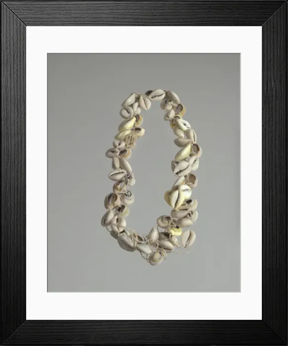 Framed Print : String of cowrie shells, 1800 - 1968. Creator: Unknown Framed Print : String of cowrie shells, 1800 - 1968. Creator: Unknown