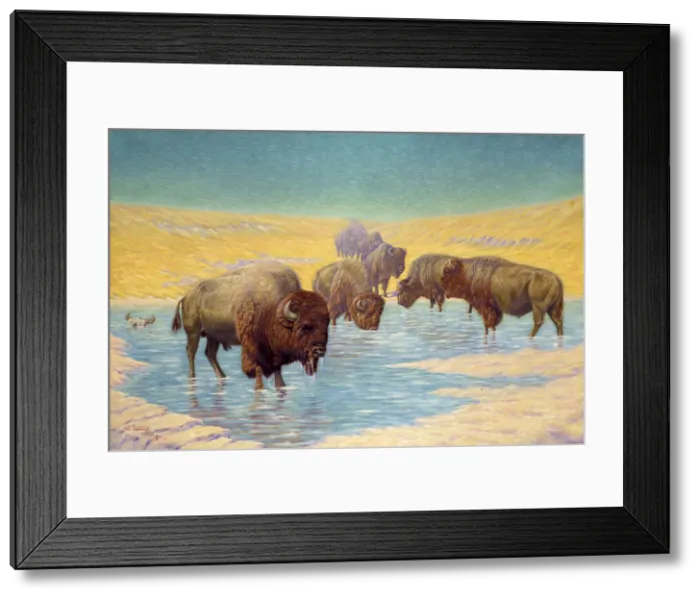 Framed Print : Buffalo Scene, 1922. Creator: Emil W. Lenders Framed Print : Buffalo Scene, 1922. Creator: Emil W. Lenders