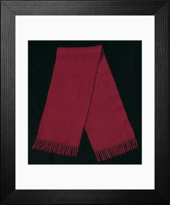 Framed Print : Red wool scarf worn by Joan Mulholland during a protest near the White House, 1960 Framed Print : Red wool scarf worn by Joan Mulholland during a protest near the White House, 1960