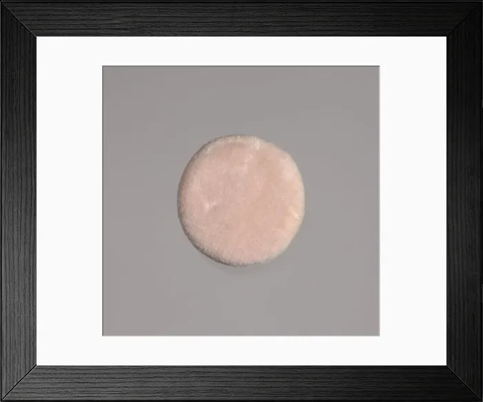 Framed Print : Cosmetic powder puff from Maes Millinery Shop, 1941-1994 Framed Print : Cosmetic powder puff from Maes Millinery Shop, 1941-1994