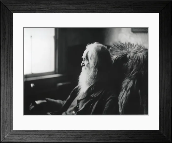 Framed Print : Walt Whitman in Camden, N. J. c. 1891. Creator: Thomas Eakins Framed Print : Walt Whitman in Camden, N. J. c. 1891. Creator: Thomas Eakins