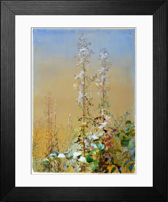 Framed Print : Untitled, ca. 1876. Creator: Fidelia Bridges Framed Print : Untitled, ca. 1876. Creator: Fidelia Bridges