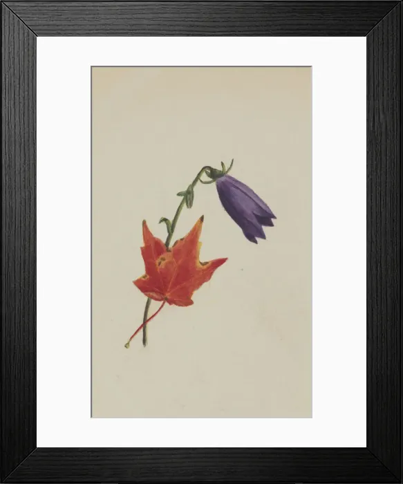 Framed Print : (Untitled), ca. 1876. Creator: Mary Vaux Walcott