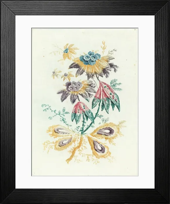 Framed Print : Fantastic Flowers with Peapod Leaves, 1795. Creator: Anne Allen Framed Print : Fantastic Flowers with Peapod Leaves, 1795. Creator: Anne Allen