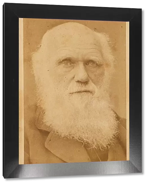 Portrait of Charles Darwin (1809-1882), 1881. Creator: Barraud, Herbert Rose (1845-1896)