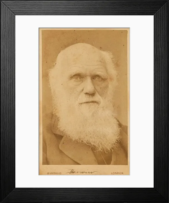 Framed Print : Portrait of Charles Darwin (1809-1882), 1881. Creator: Barraud, Herbert Rose (1845-1896) Framed Print : Portrait of Charles Darwin (1809-1882), 1881. Creator: Barraud, Herbert Rose (1845-1896)