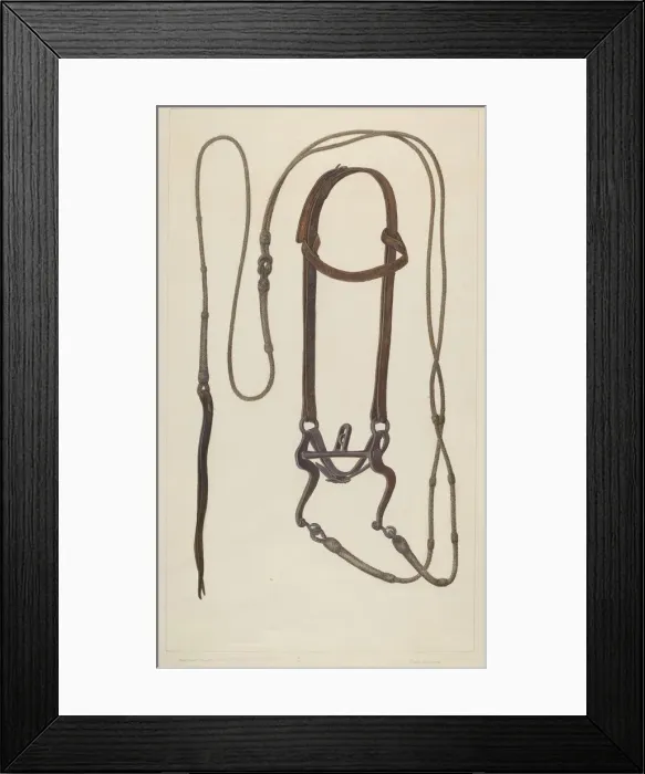 Framed Print : Bridle with Braided Rawhide Reins, c. 1937. Creator: Clyde L. Cheney Framed Print : Bridle with Braided Rawhide Reins, c. 1937. Creator: Clyde L. Cheney