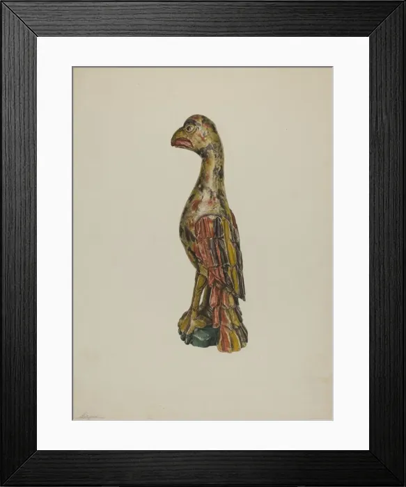 Framed Print : Pa. German Parrot, c. 1939. Creator: Giacinto Capelli Framed Print : Pa. German Parrot, c. 1939. Creator: Giacinto Capelli