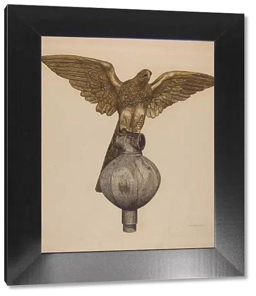 Golden Eagle, c. 1941. Creator: Clarence W Dawson