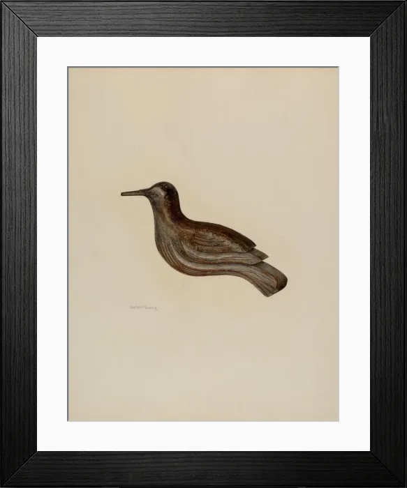 Framed Print : Snipe, 1935 / 1942. Creator: Hester Duany Framed Print : Snipe, 1935 / 1942. Creator: Hester Duany