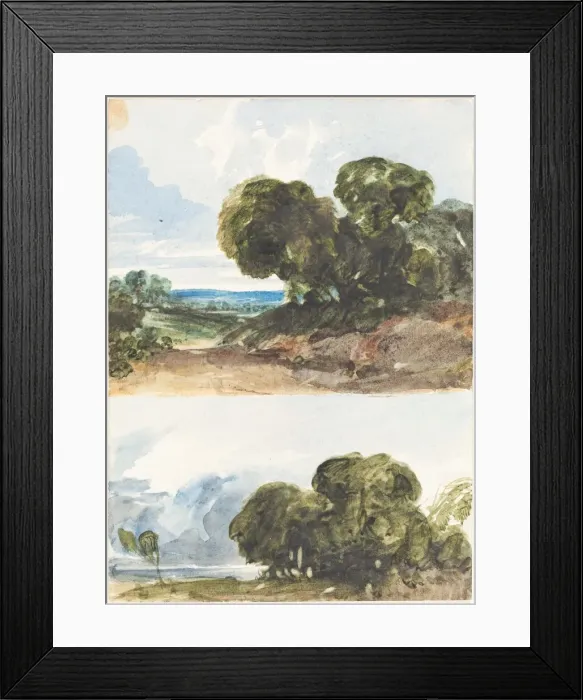 Framed Print : Two Sketches of Trees. Creator: James Bulwer Framed Print : Two Sketches of Trees. Creator: James Bulwer