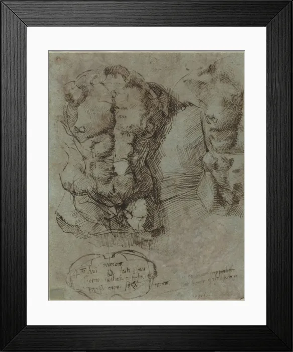 Framed Print : Studies of a Male Torso, c. 1524. Creator: Unknown Framed Print : Studies of a Male Torso, c. 1524. Creator: Unknown