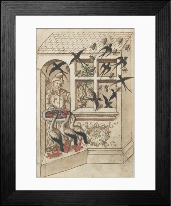 Framed Print : Do Not Have Swallows under the Same Roof [fol. 40 recto], c. 1512  /  1514. Creator: Unknown