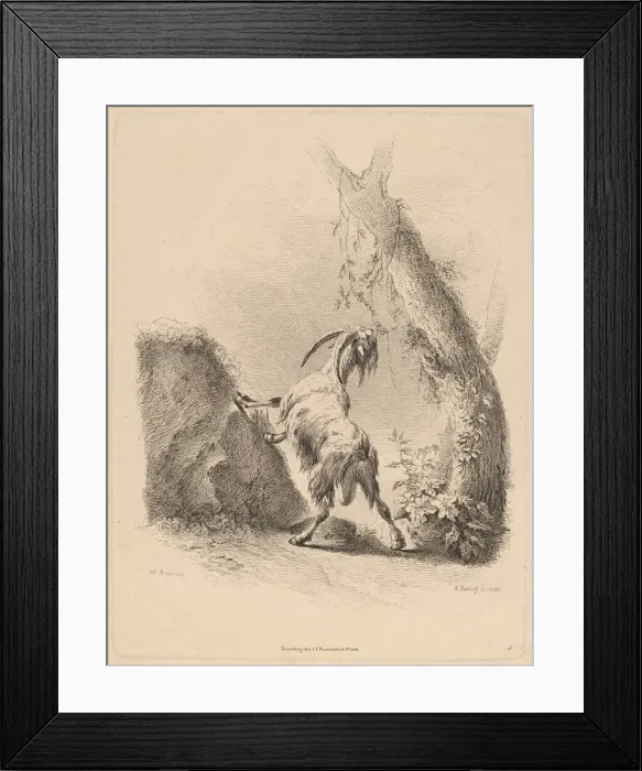 Framed Print : Goat in a Landscape, 1805. Creator: Adam von Bartsch Framed Print : Goat in a Landscape, 1805. Creator: Adam von Bartsch