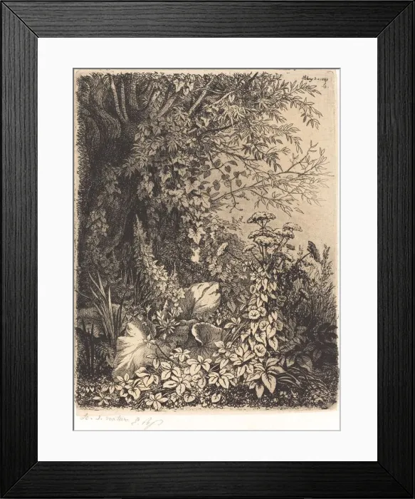 Framed Print : La bardane au saule (Burdock with Willow), published 1849. Creator: Eugene Blery Framed Print : La bardane au saule (Burdock with Willow), published 1849. Creator: Eugene Blery