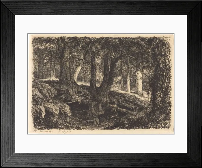 Framed Print : L arbre aux racines (Tree with Roots), published 1849. Creator: Eugene Blery Framed Print : L arbre aux racines (Tree with Roots), published 1849. Creator: Eugene Blery
