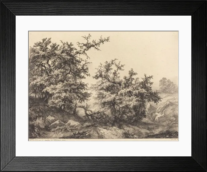Framed Print : Thornbushes, 1840. Creator: Eugene Blery Framed Print : Thornbushes, 1840. Creator: Eugene Blery