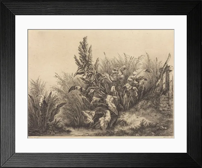 Framed Print : Water Dock, 1840. Creator: Eugene Blery Framed Print : Water Dock, 1840. Creator: Eugene Blery