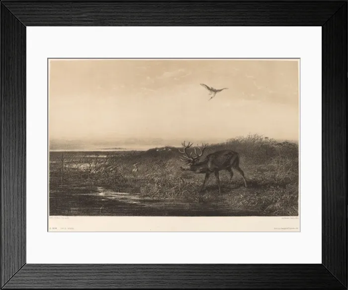 Framed Print : Le Soir. Cerf et Herons. Creator: Karl Bodmer