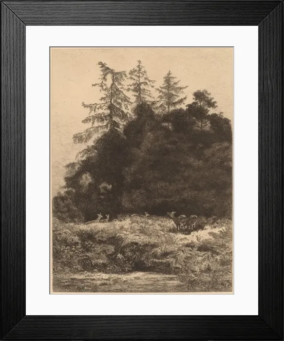 Framed Print : Daims dans un Parc. Creator: Karl Bodmer Framed Print : Daims dans un Parc. Creator: Karl Bodmer