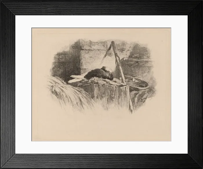 Framed Print : Pigeon sur un nid. Creator: Karl Bodmer Framed Print : Pigeon sur un nid. Creator: Karl Bodmer