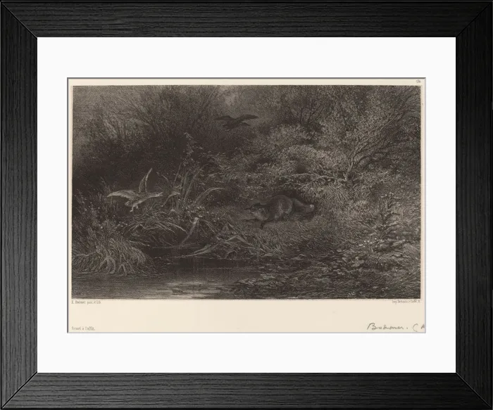 Framed Print : Renard al affut. Creator: Karl Bodmer Framed Print : Renard al affut. Creator: Karl Bodmer