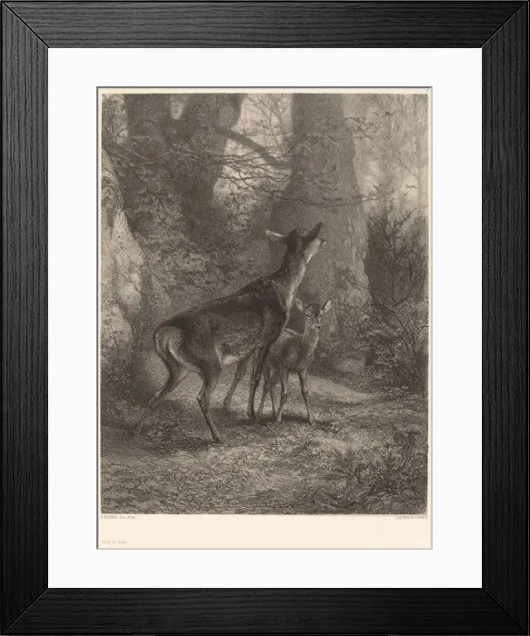 Framed Print : Biche et Faon. Creator: Karl Bodmer Framed Print : Biche et Faon. Creator: Karl Bodmer