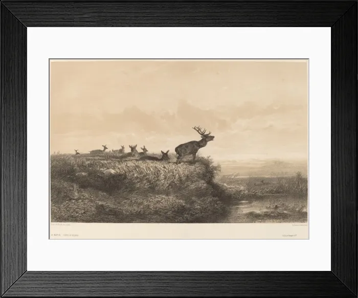 Framed Print : Le Matin. Creator: Karl Bodmer Framed Print : Le Matin. Creator: Karl Bodmer