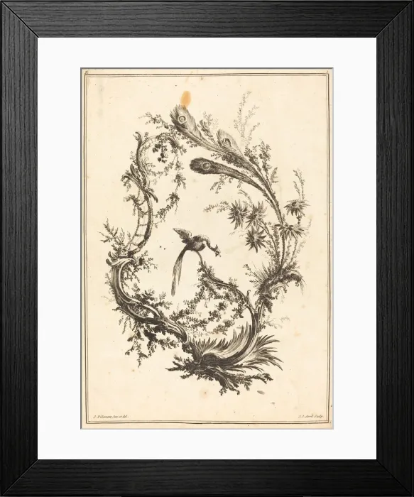 Framed Print : Ornament with a Peacock. Creator: Jean Jacques Avril Framed Print : Ornament with a Peacock. Creator: Jean Jacques Avril
