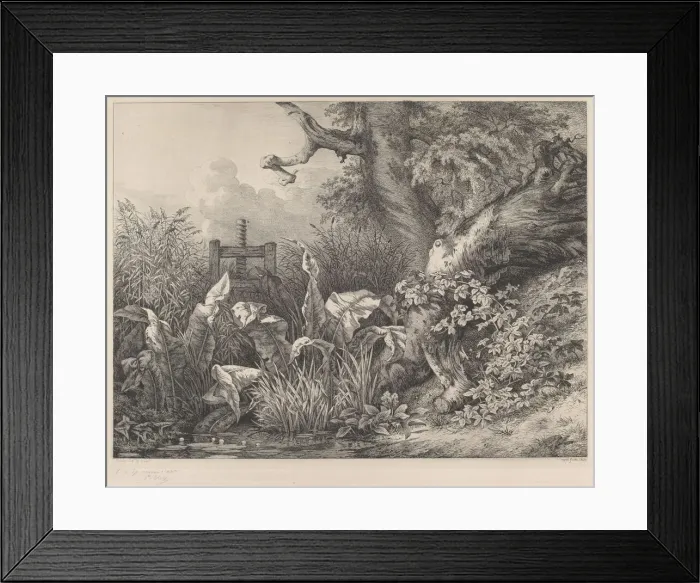 Framed Print : Water Dock and Brambles at a Sluice, 1843. Creator: Eugene Blery Framed Print : Water Dock and Brambles at a Sluice, 1843. Creator: Eugene Blery