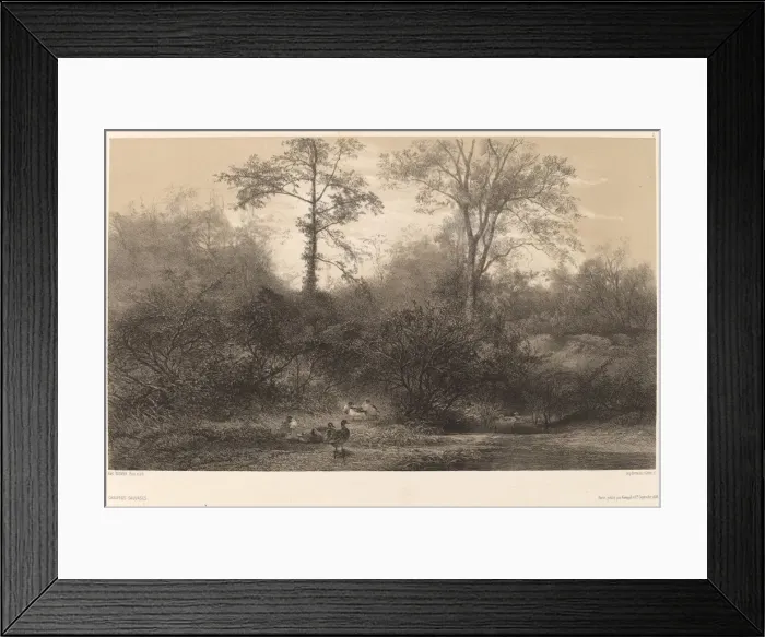 Framed Print : Canards Sauvages. Creator: Karl Bodmer Framed Print : Canards Sauvages. Creator: Karl Bodmer