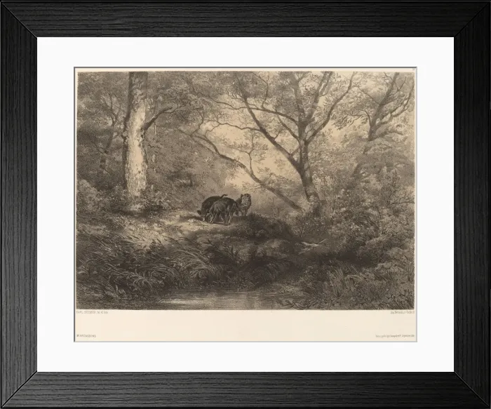 Framed Print : Marcassins. Creator: Karl Bodmer Framed Print : Marcassins. Creator: Karl Bodmer