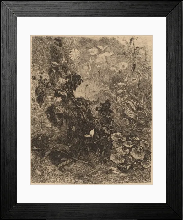 Framed Print : Escargots et papillons. Creator: Karl Bodmer Framed Print : Escargots et papillons. Creator: Karl Bodmer