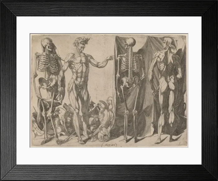 Framed Print : Squelettes et Ecorches, c. 1540-1545. Creator: Domenico del Barbiere