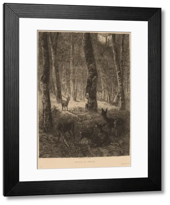 Framed Print : Retour au Bercail. Creator: Karl Bodmer Framed Print : Retour au Bercail. Creator: Karl Bodmer
