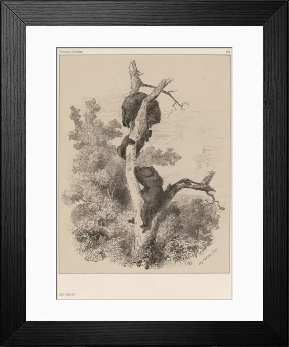 Framed Print : Les ours. Creator: Karl Bodmer Framed Print : Les ours. Creator: Karl Bodmer