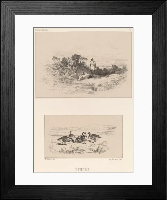 Framed Print : Etudes. Creator: Karl Bodmer Framed Print : Etudes. Creator: Karl Bodmer