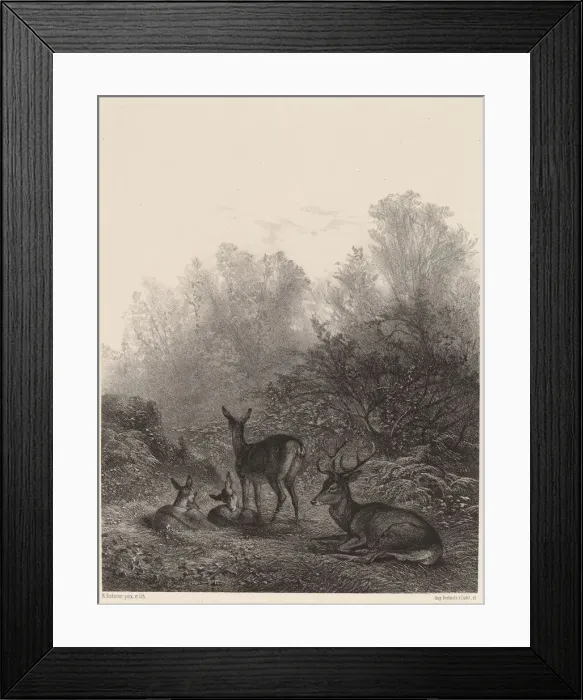 Framed Print : Biches au repos. Creator: Karl Bodmer Framed Print : Biches au repos. Creator: Karl Bodmer