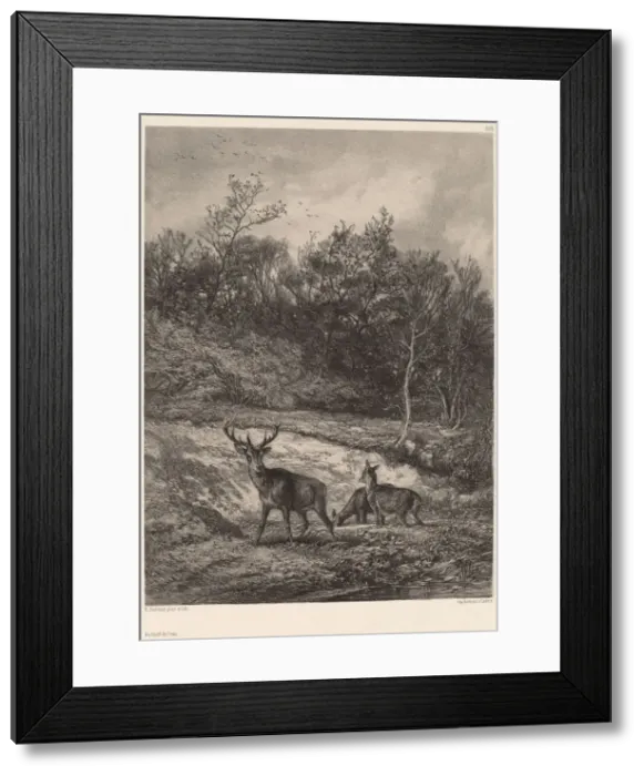 Framed Print : Au bord de l eau. Creator: Karl Bodmer Framed Print : Au bord de l eau. Creator: Karl Bodmer