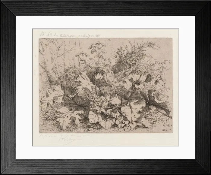 Framed Print : Burdock in Bloom, 1858. Creator: Eugene Blery