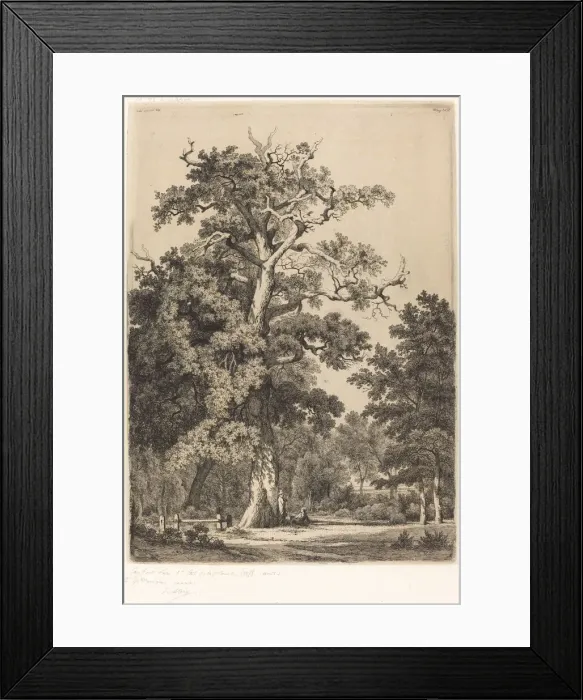 Framed Print : Ancient Oak in the Bois de Boulogne, 1855. Creator: Eugene Blery Framed Print : Ancient Oak in the Bois de Boulogne, 1855. Creator: Eugene Blery
