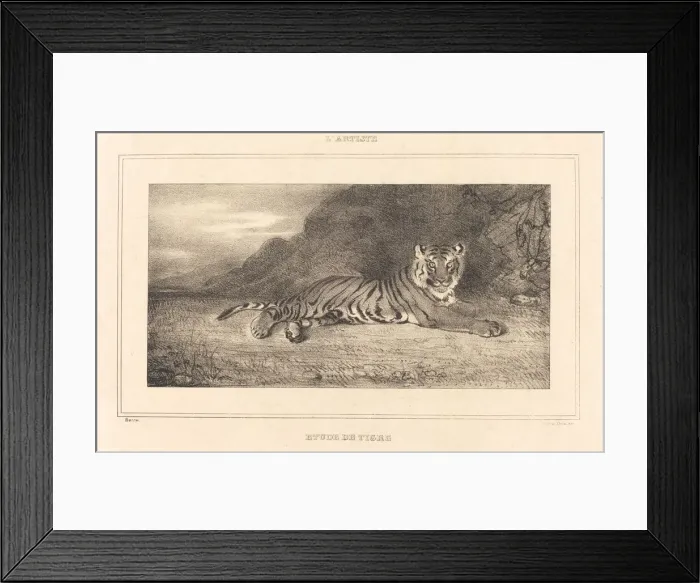 Framed Print : Study of a Tiger. Creator: Antoine-Louis Barye Framed Print : Study of a Tiger. Creator: Antoine-Louis Barye