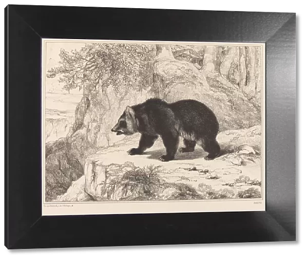 Mississippi Bear, 1836. Creator: Antoine-Louis Barye