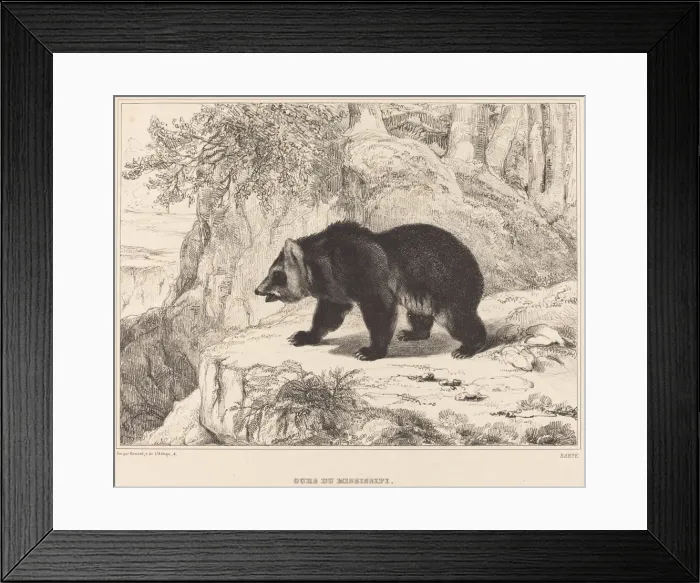 Framed Print : Mississippi Bear, 1836. Creator: Antoine-Louis Barye Framed Print : Mississippi Bear, 1836. Creator: Antoine-Louis Barye