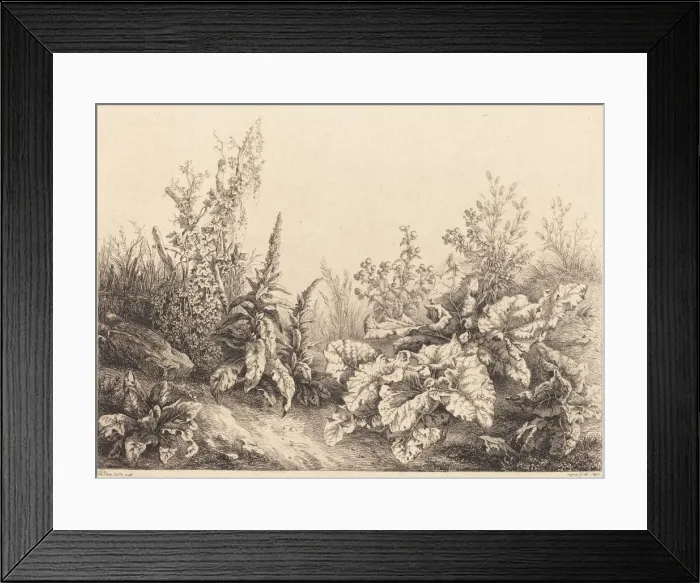 Framed Print : Study of a Burdock, 1840. Creator: Eugene Blery Framed Print : Study of a Burdock, 1840. Creator: Eugene Blery