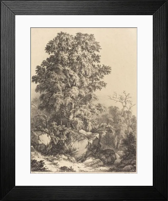 Framed Print : Beech Grove, 1840. Creator: Eugene Blery Framed Print : Beech Grove, 1840. Creator: Eugene Blery